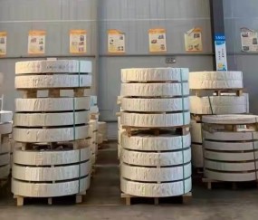 大學(xué)生釣到50斤大魚校園顯擺倆小時(shí)