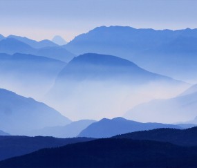 景區(qū)回應(yīng)張家界游客與猴子互毆